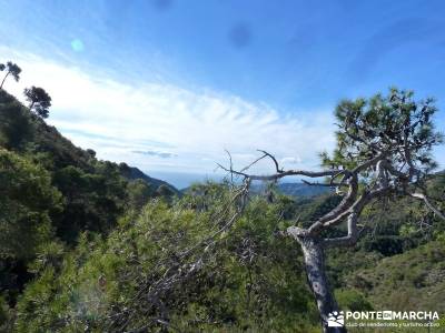 Axarquía- Sierras de Tejeda, Almijara y Alhama; imagenes de senderismo; grupo de montaña madrid